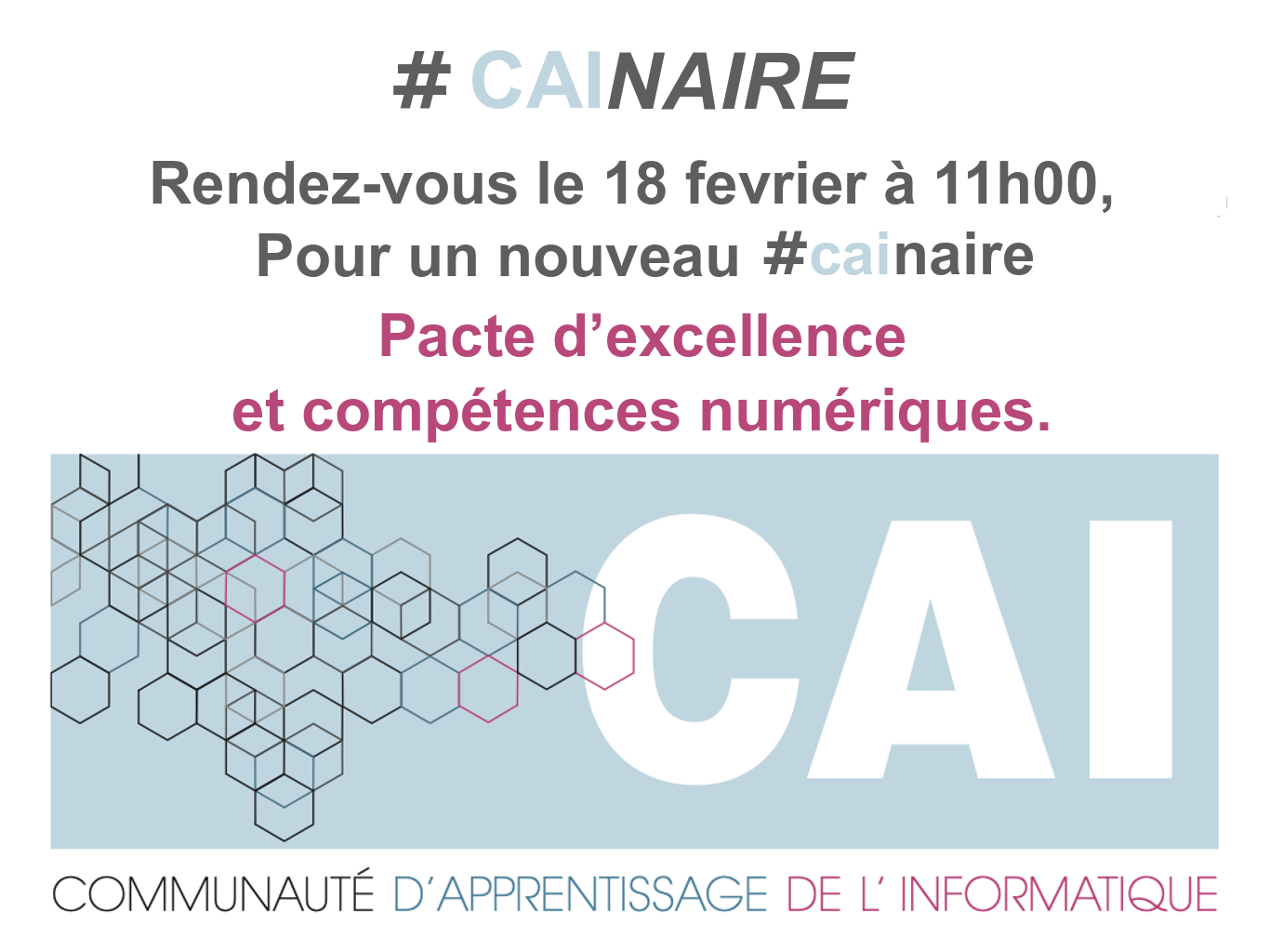 CAInaire : Pacte d’excellence et compétences numériques.